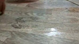 Как удалить застывший клей с линолеума