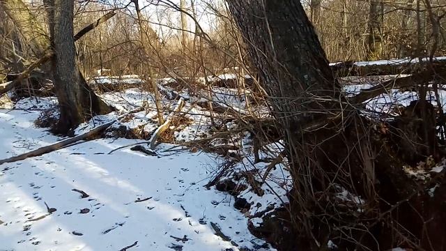 Иду по руслу речки Ерик смотреть онлайн