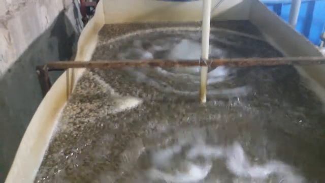 Биофильтр своими руками ! Biofilter Their Hands