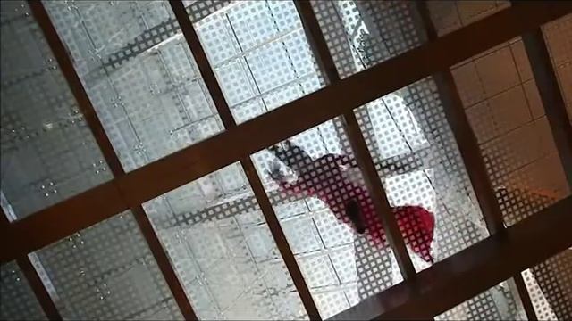 Моя Беларусь смотреть онлайн