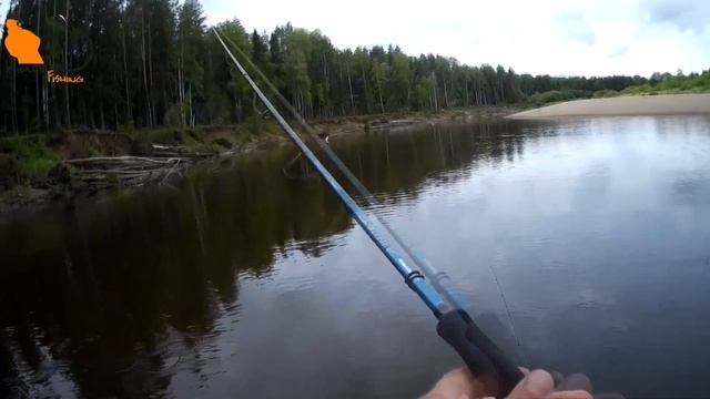 Рыбалка на Моломе. Лето 2019. #KirovFishing Часть 3 KF№68