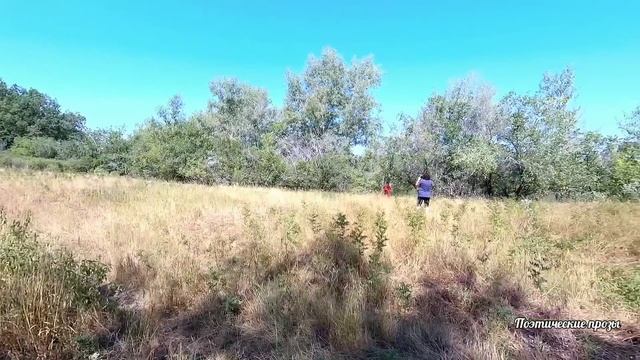 Сауркин яр. Тайна жрицы! смотреть онлайн