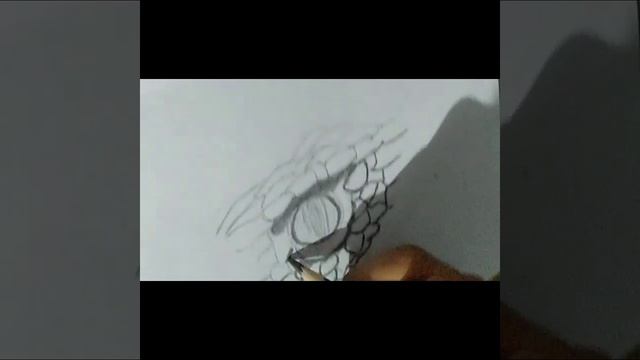 Reptile eye sketching / pencil sketch / 2020 смотреть онлайн