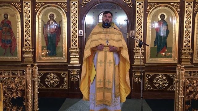 Проповедь в Неделю 20 - ю по Пятидесятнице ( О воскресшем сыне вдовицы) смотреть онлайн