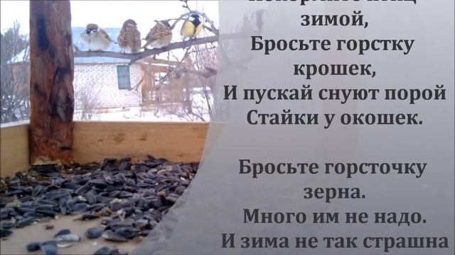 Покормите птиц зимой смотреть онлайн