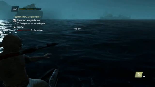 Охота на Горбатого Кита.В Assassin's Creed IV - Black Flag @1 часть@ смотреть онлайн