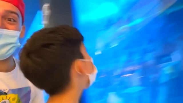 बच्चों के लिए पालतू जानवरों की ज़िम्मेदारी के बारे में एक सावधान करने वाली कहानी! смотреть онлайн