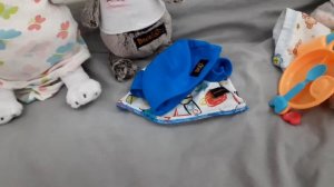 Что нужно брать басику в поездку к бабушке/ на дачу / в деревню 😃❤