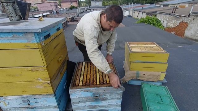 Сінгер після липи. смотреть онлайн