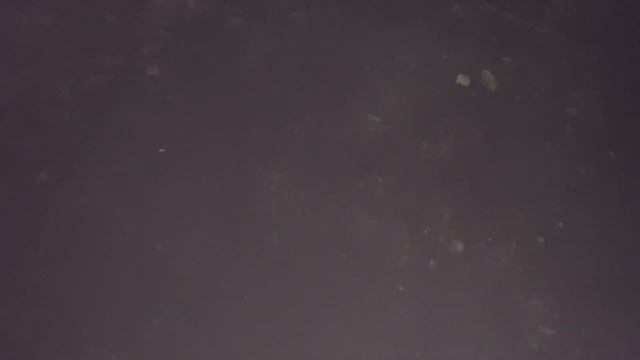 Chinamin/Redboy/Bolio /Bottom side Pure Cardenas time for schooling ?? смотреть онлайн