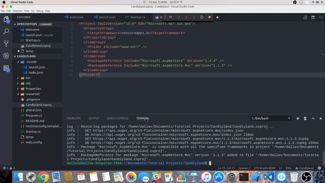 Dotnet Core Adding Packages