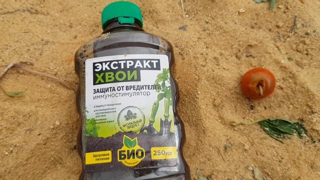 Борьба с вредителями на огороде// Совка// Зеленая гусеница смотреть онлайн