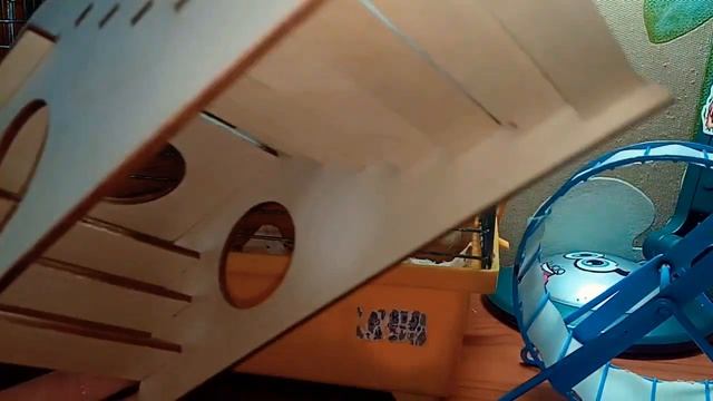 Что нужно для покупки джунгарского хомяка!? Ответ ты найдёшь в этом видео! смотреть онлайн