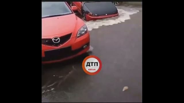 Киев. Потоп. На улице Брюллова посмывало машинки...
Возле южного жд вокзала смотреть онлайн