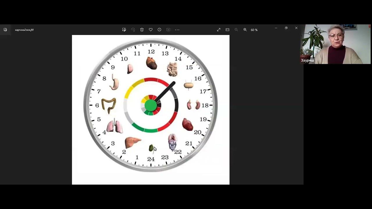 WHIEDA | Циркадные (суточные) ритмы организма | Зауреш Досай смотреть онлайн