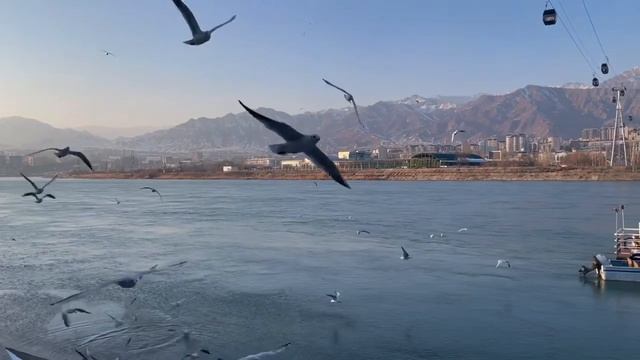 ВОТ ЭТО ЧУДО ЧАЙКИ ЛЕТЯТ ПО МОРЮ ? ? смотреть онлайн