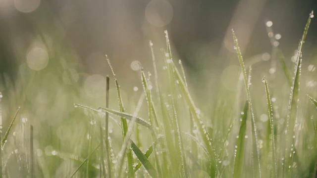 Красивые мелодии до слёз! Одна из самых красивых, самых волшебных весенних мелодий о любви! Слушать смотреть онлайн
