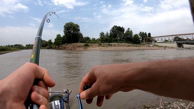 Грозненский Сом.Рыбалка в Чечне смотреть онлайн