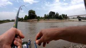 Грозненский Сом.Рыбалка в Чечне