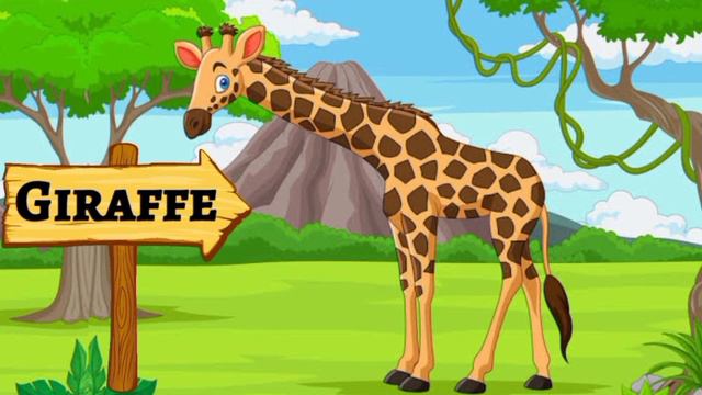 Wild Animals | Wild Animals For Kids | Wild Animals Name |  Home Based School | #wildanimal #animal