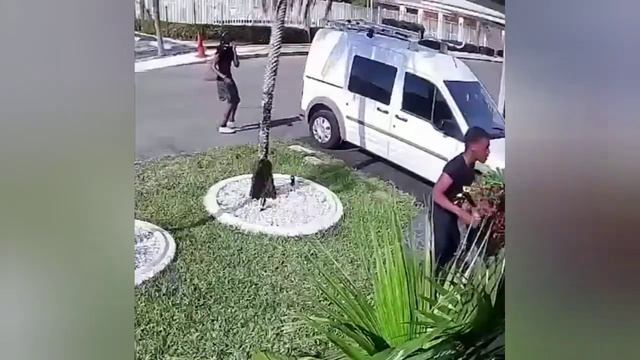 ТЮРКИ - ВОЛЧЬЕ ПЛЕМЯ СКИФОВ. #историятюрков  #майами  #скифы #мма  #шавкатмирзиёев  #бокс