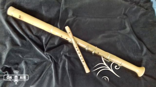 Adeline et Fabienne - Flûte à bec et basse - Hornpipe de Bingham смотреть онлайн