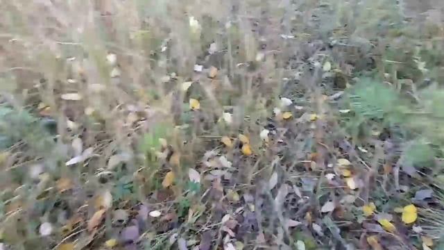 Накопали Две машины литого железа! Часть 2 смотреть онлайн