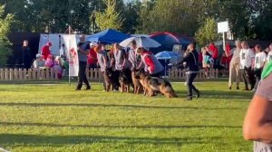 Конкурс питомников дш: Ирендорф, Теам Зильбер Вассерфаль / Моно немецких овчарок ранга ПК БРОННИЦЫ 1