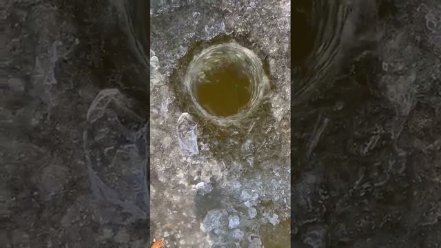 Зимняя рыбалка в Астраханской области, Володаоский район, база Fat Fish смотреть онлайн