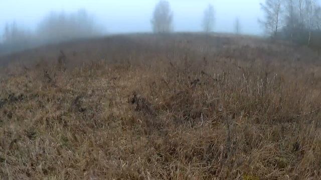 ОХОТА НА ЗАЙЦА 2019 в тумане. Охота на зайца осенью смотреть онлайн