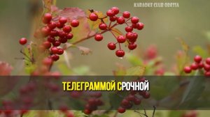 Евдокимов Ярослав = Куст Калины (Karaoke)