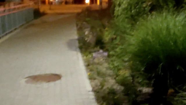 Ночной Даугавпилс. Насколько нужен новый ночной рейс поезда?! Daugavpils