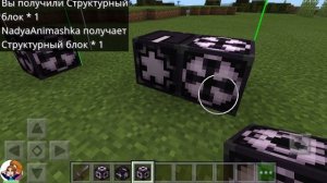 Как в Майнкрафте получить НЕВИДИМЫЙ, КОМАНДНЫЙ, СЕКРЕТНЫЙ и другие БЛОКИ