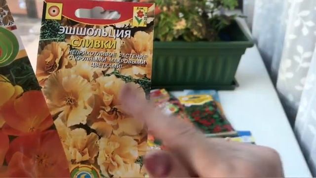 САМЫЕ ЛЮБИМЫЕ НЕПРИХОТЛИВЫЕ ОДНОЛЕТНИКИ. СЕЗОН 2022 @ru_lida смотреть онлайн