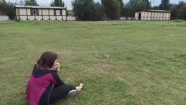 из жизни сусликов... смотреть онлайн