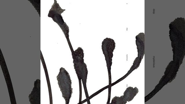 Ono [in dedication to Yoko Ono] (Ono no Komachi 825-900) смотреть онлайн