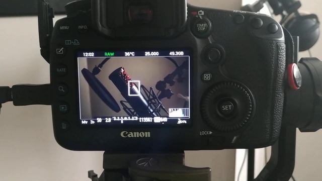 Ronin-S with Canon 5d mark III Magic Lantern (test 2, trying to get a Rec error) смотреть онлайн