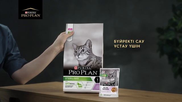 Proplan 6s KZ Optirenal смотреть онлайн