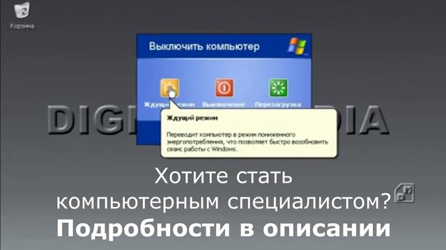 Компьютерные курсы для пенсионеров смотреть онлайн
