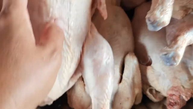 Забой бройлера, пока не наступила жара. // Вес после трехнедельнойжары. смотреть онлайн