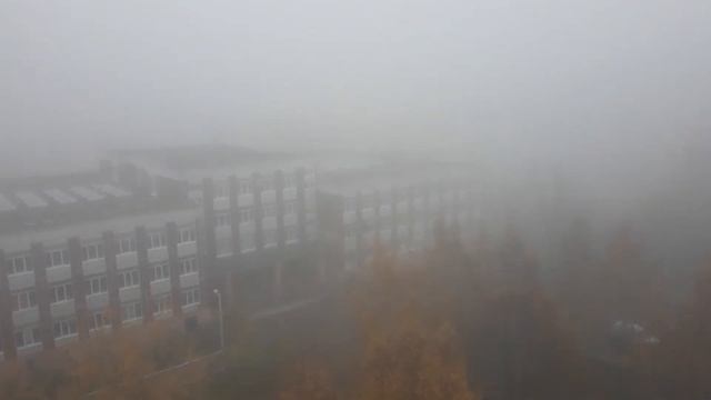 Большой туман в Калининграде. смотреть онлайн