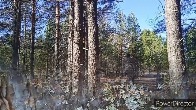 счастье жить в деревне. часть вторая. #банная печь своими руками #природародногокарая смотреть онлайн