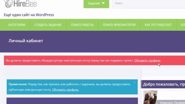 Тема wordpress Биржа Фриланс Hirebee - Настройка и Работа сайта смотреть онлайн