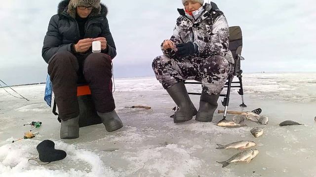 08-10.04.2023 Зимняя рыбалка оз.Чаны, Голенький, на карася, чебака. Бешеный клев на зимней рыбалки! смотреть онлайн