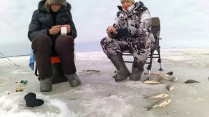 08-10.04.2023 Зимняя рыбалка оз.Чаны, Голенький, на карася, чебака. Бешеный клев на зимней рыбалки!