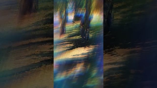 ГОРСОВЕТ УФА #ПОКАТУШКИ #ЛОШАДИ #ПОНИ #ДЕТИ смотреть онлайн