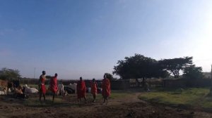 Традиционные Прыжки -Танцы племени Масаи!!! Путешествия Вольдемара!!!