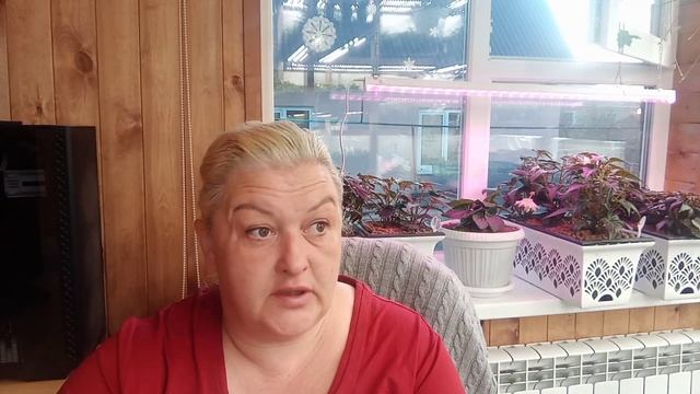 ?Ужасы почтовых отправлений.?Растения почтой .?