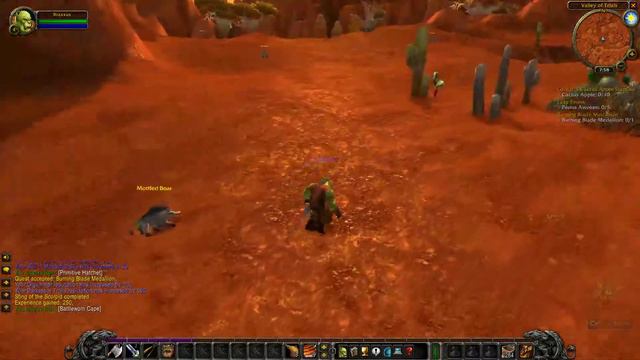 Classic WoW hunter смотреть онлайн