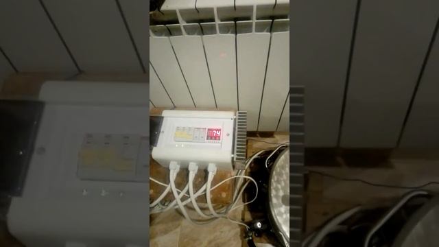 ХД 5.Первый запуск смотреть онлайн